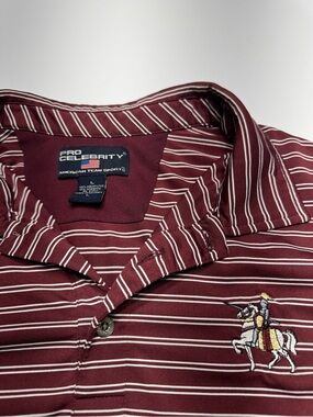 Pro Celebrity | Shirts | Mens Maroon Striped Polo With Embroidered ...